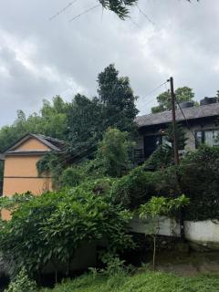 Hotel Tourist Residency And Homeland Forest Villa - 4