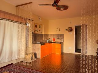 Sonzal Heritage Flat - Private for Couples - Srinagar - 2