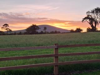 Blackstairs Glamping Pod 1 - 9