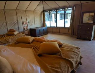 Silence Luxury Camp - 6