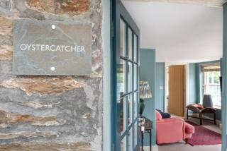 Oystercatcher - 9