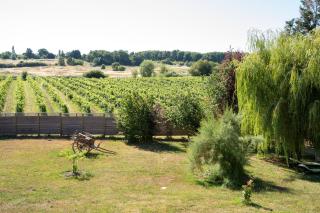 La Pausa Verda - 1