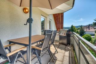 3Seen - Kino - Grill - Feldberg - Schluchsee - 7