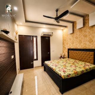 The Mosaic House - 1