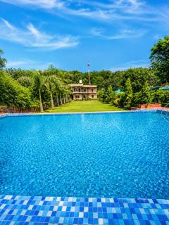 Wildline Gold Resort - 7