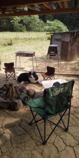 Sarari - Vacation STAY 66365v - 5