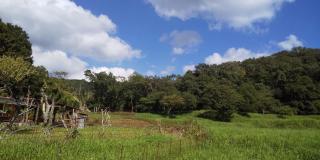Sarari - Vacation STAY 66365v - 3