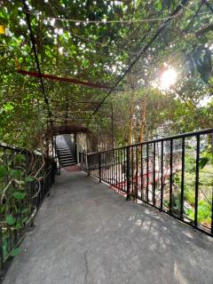 Velmora Hotel Kandy - 7
