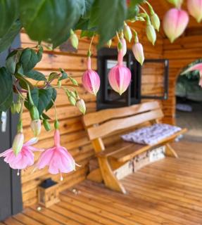 Log Cabin with Private Sauna and BBQ area in Canterbury - 6