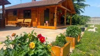 Log Cabin with Private Sauna and BBQ area in Canterbury - 7