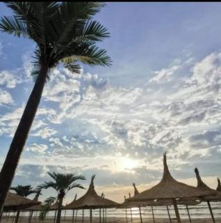 Amphora Beach Apartment - Mamaia Nord - 1