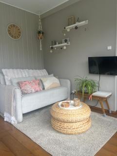 Tiny House Droom aan de Linge - 8
