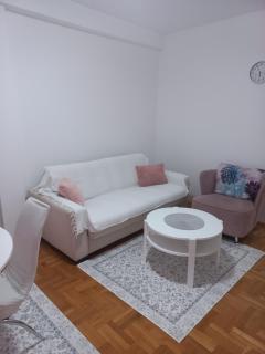 Irena Veliki park, 43m2, centar Kragujevca - 9