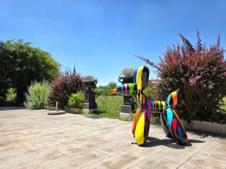Domaine D'Oletta - 6