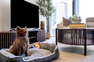 Spire Apartments on Queen Street - Free Car Park - 4