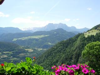 Malsethhof - Villandro - 7