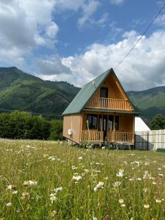 Pine House Borjomi , Mountain View - 0
