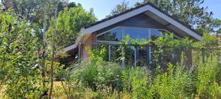 Suzie's Cottage - 0