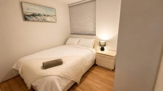 Camellia - Perth - 5