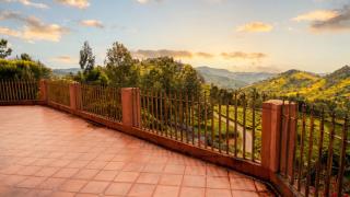 Ivy Hill - 5