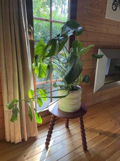 Fantastisch chalet met veel ruimte en fijne tuin - 5