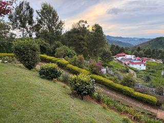 Ivy Hill - 2