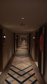 Occazia Hotel Baku - 2