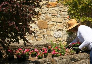 Podere Bocci residence in Casentino - Entire Villa - 3