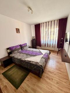Stejarului Apartment - 5