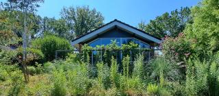 Suzie's Cottage - 6