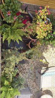 Courtyard Garden Flat - 7