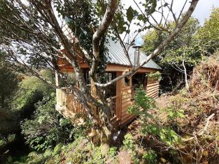 Ark Ranch Treehouse, rainforest oasis in West Cork - 3