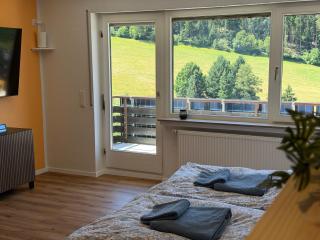 Ferienwohnung mit Pool, Sauna und einem tollen Blick über den Schwarzwald, nahe Freudenstadt - 4