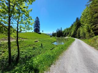 Bergzauber - 5
