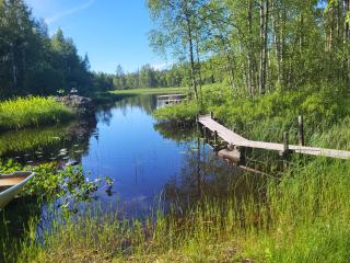 Det lilla ovanliga boendet mitt i skogen - 0