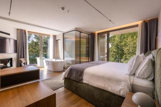 Pine Hotel & Spa Brezovice - 9