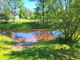 Det lilla ovanliga boendet mitt i skogen - 7