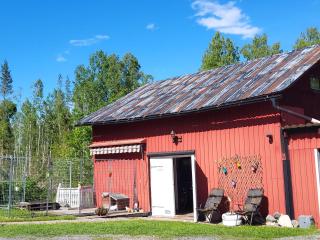 Det lilla ovanliga boendet mitt i skogen - 1
