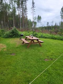 Det lilla ovanliga boendet mitt i skogen - 3