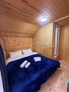 Alpine Lodge Bakhmaro - 4