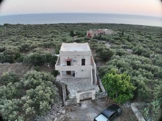 Mani Spot Nezoulas - 9
