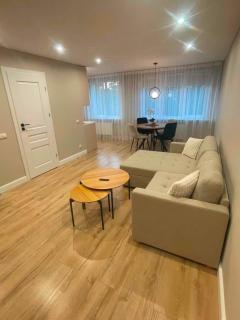 Cozy apartment in city centre - 1