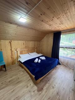 Alpine Lodge Bakhmaro - 2