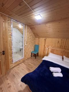 Alpine Lodge Bakhmaro - 1