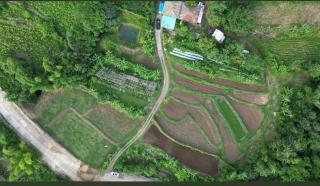 Onera Farm - Cattle in Ilocos Norte - 5