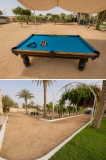 Palm Oasis Farm مزرعة واحة النخيل - 8