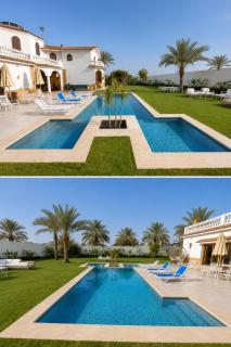 Palm Oasis Farm مزرعة واحة النخيل - 3