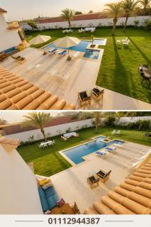 Palm Oasis Farm مزرعة واحة النخيل - 2