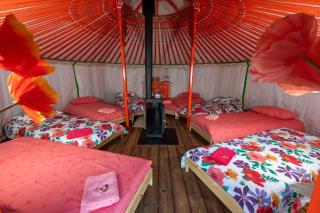 Yourte Bulle De Sainte-baume - 5