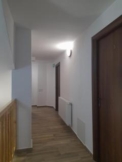 Cabana Andrea - Arpaşu de Sus - 3